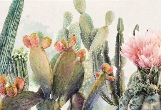 OPUNTIA - bright - tapeta w kaktusy do salonu lub sypialni