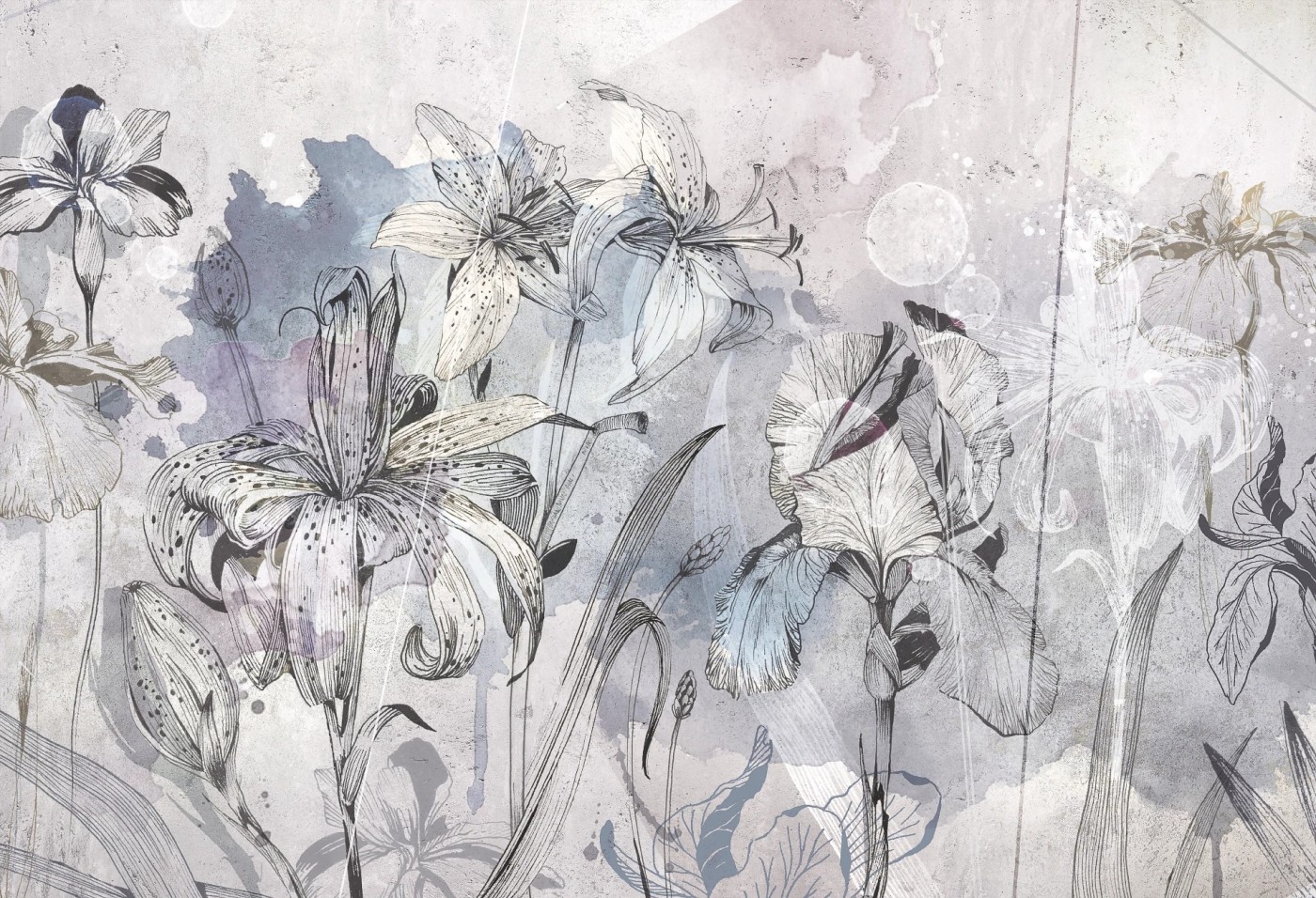 IRIS - blue - tapeta do salonu w kwiaty