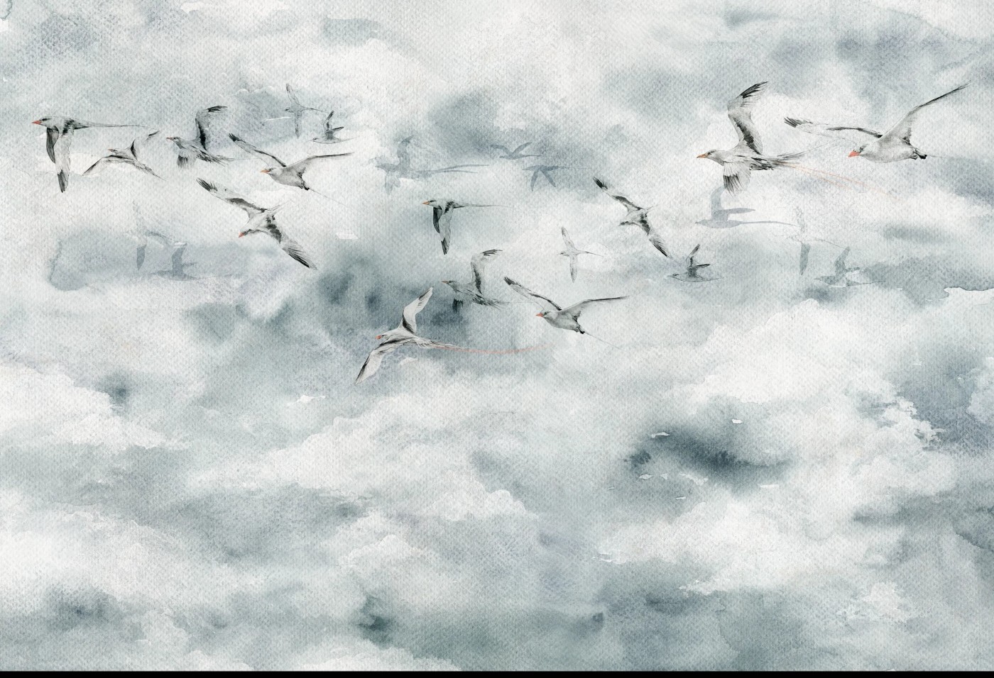 SEAGULLS - grey - tapeta do sypialni lub salonu w ptaki