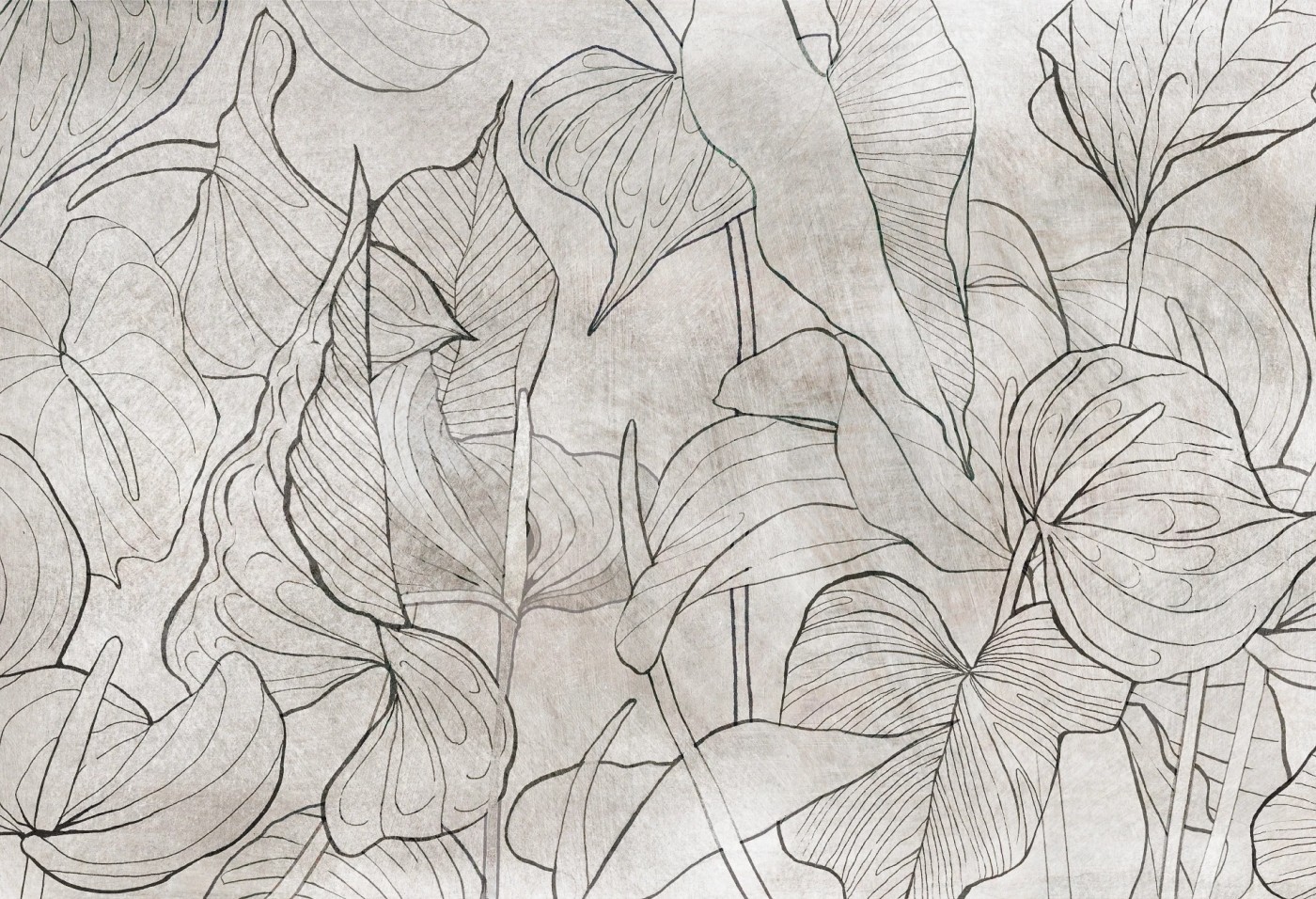 ANTURIUM - ink - tapeta z dużymi kwiatami