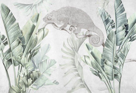 URBAN JUNGLE - kameleon - tapeta na ścianę z motywem natury