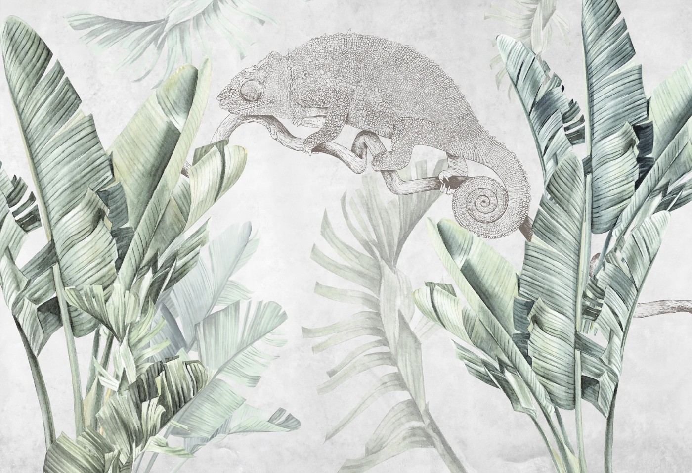 URBAN JUNGLE - kameleon - tapeta na ścianę z motywem natury