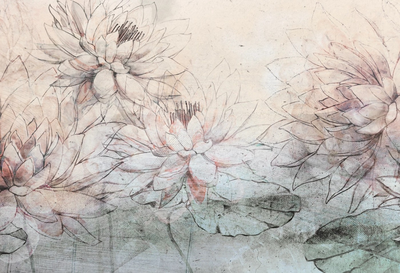 WATER LILIES - grey - tapeta w kwiaty do sypialni lub salonu