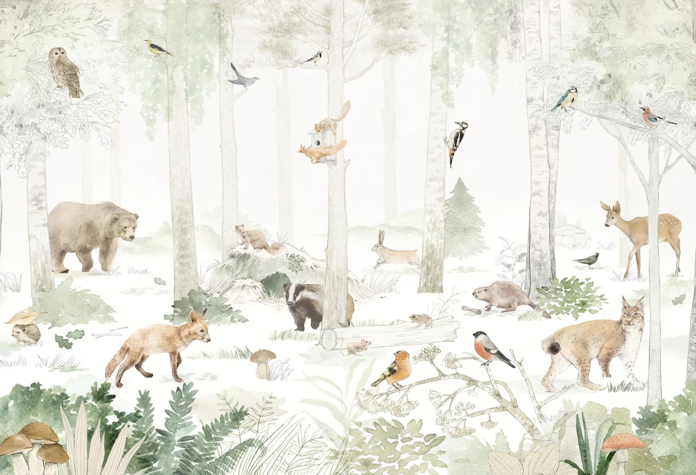 WOODLET FAMILY - green - leśna tapeta dla dzieci