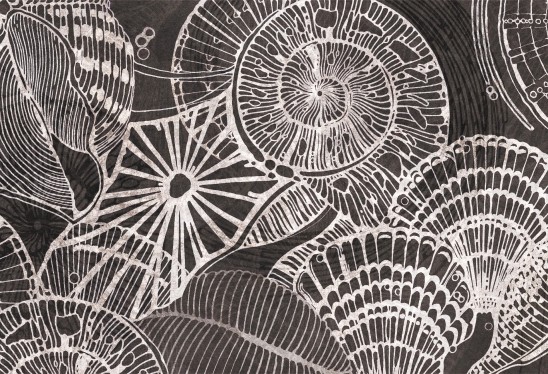 CALICO - dark mocha -  tapeta marynistyczna do salonu lub sypialni