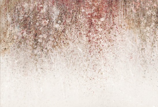 DAISY UP - tea - tapeta w kwiaty polne do salonu lub sypialni