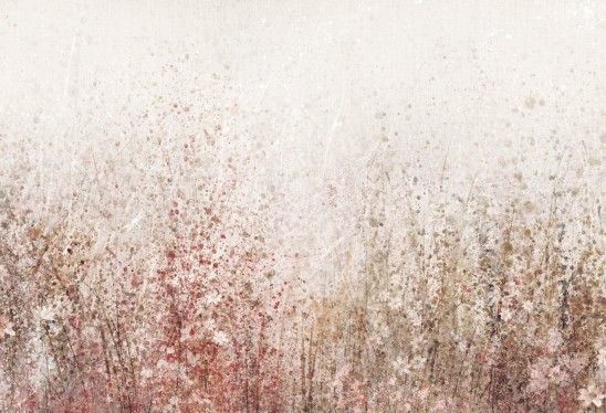 DAISY - tea - tapeta w kwiaty polne do salonu lub sypialni