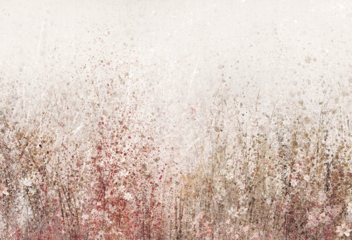 DAISY - tea - tapeta w kwiaty polne do salonu lub sypialni