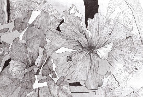 HIBISCUS - graphite grey - tapeta florystyczna do salonu lub sypialni