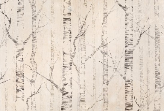 WOODS - beige - tapeta w brzozy w stylu skandynawskim
