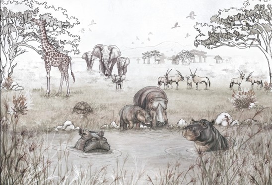 SAWANNA - neutral - tapeta sawanna do pokoju dziecka