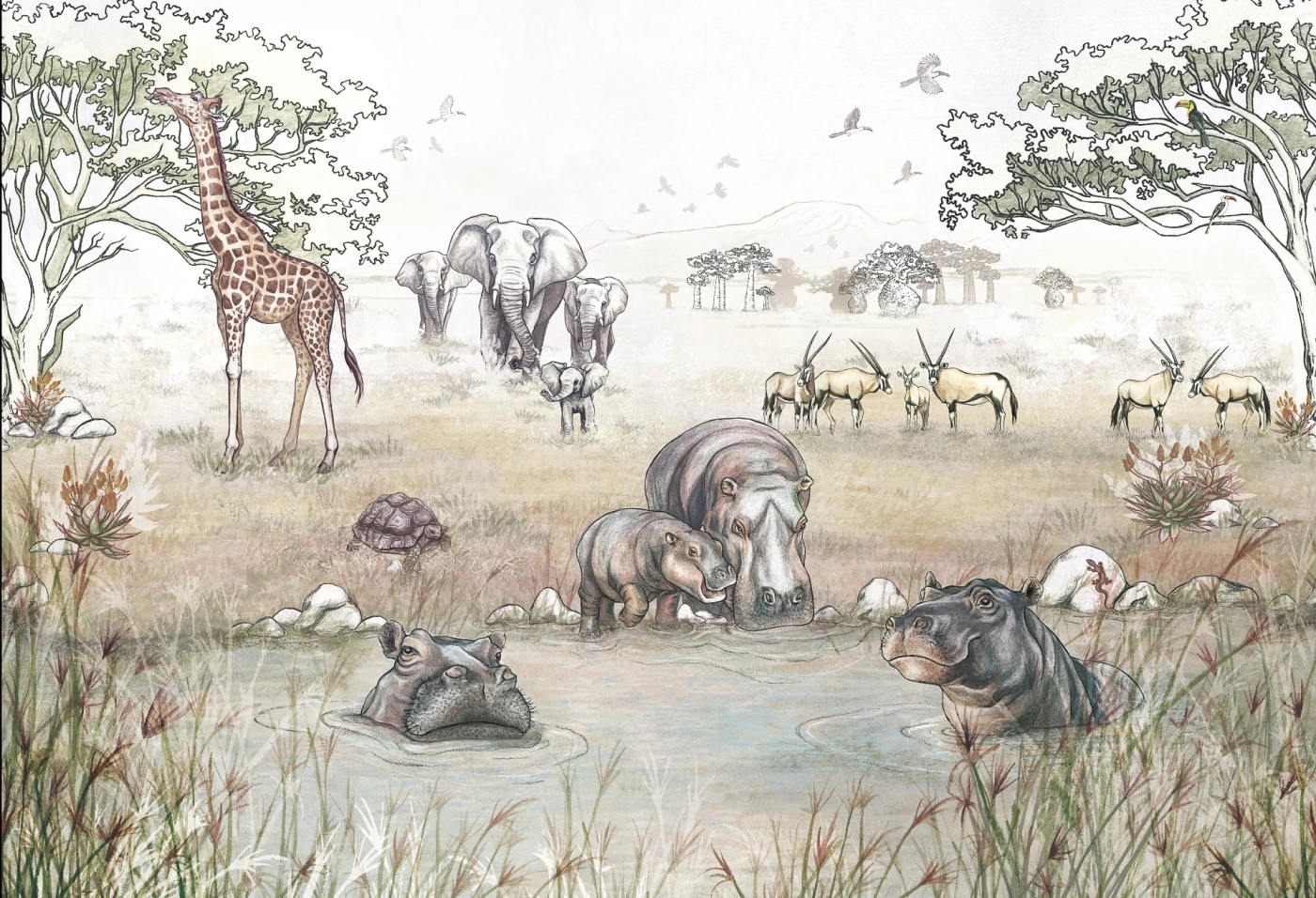 SAWANNA - vivid- Tapeta dziecięca z motywem sawanny