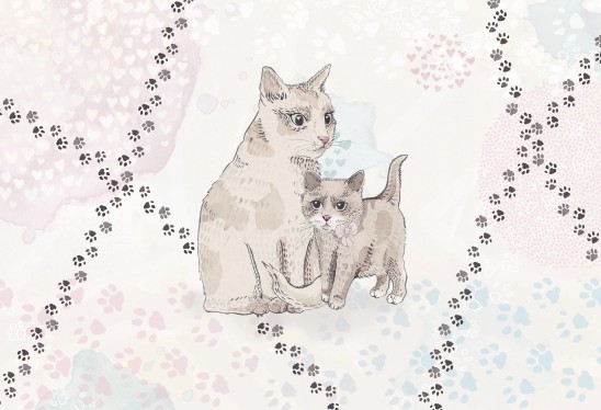 CUTTY CATS - pink - tapeta dziecięca z kotkami