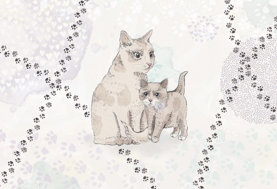 CUTTY CATS - violet - tapeta na ścianę dla dzieci z kotkami