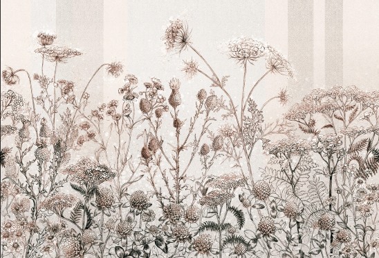 CLOVER - coffe - tapeta do salonu z polnymi kwiatami