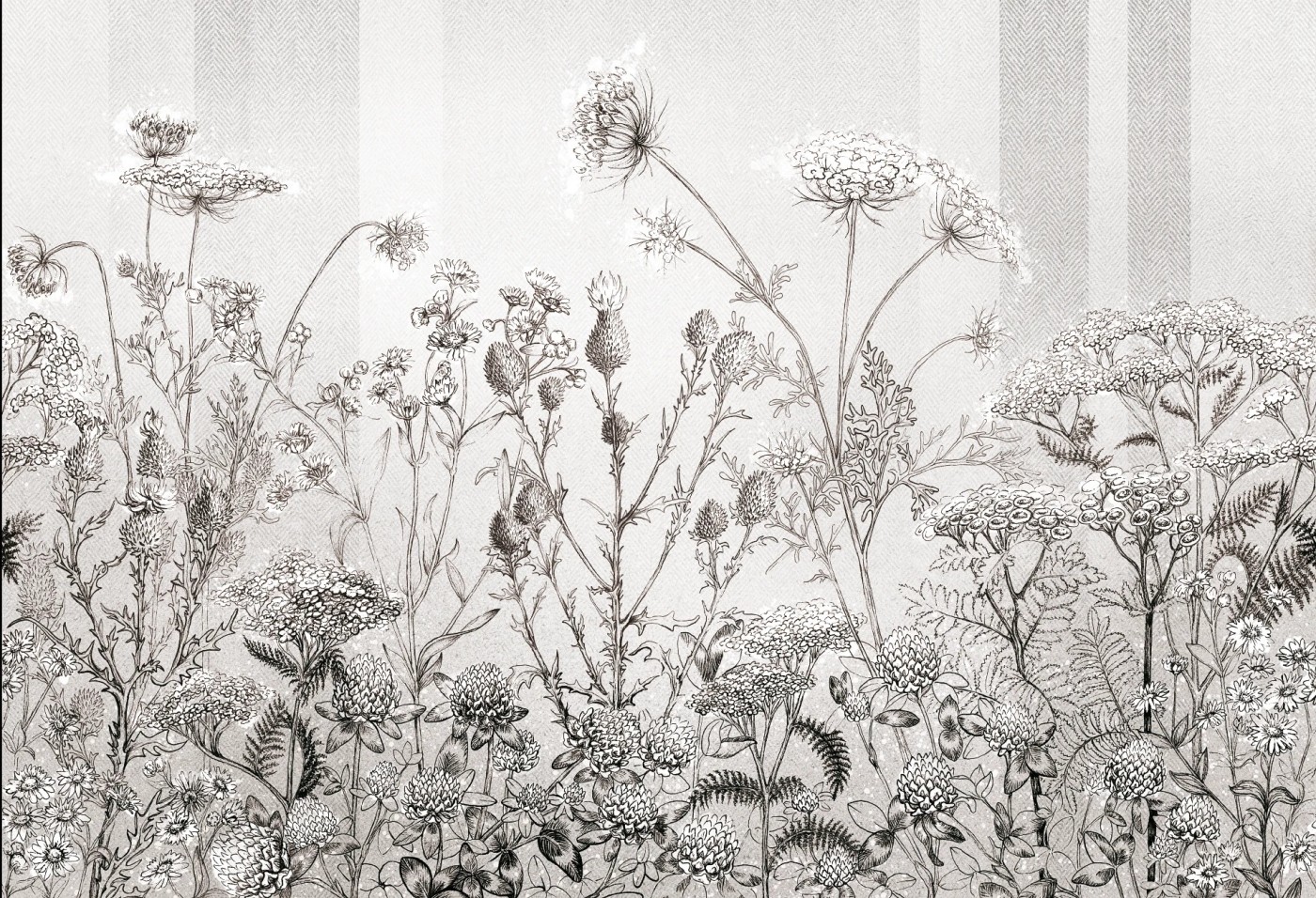 CLOVER - grey - tapeta do jadalni z łąką kwiatów