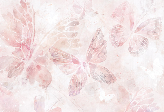 MARIPOSA - rose- tapeta dla nastolatki z motylami