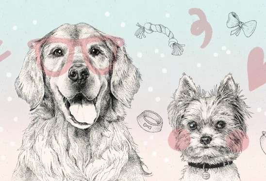 DOGGIES - pink - tapeta dla dziewczynki z pieskami