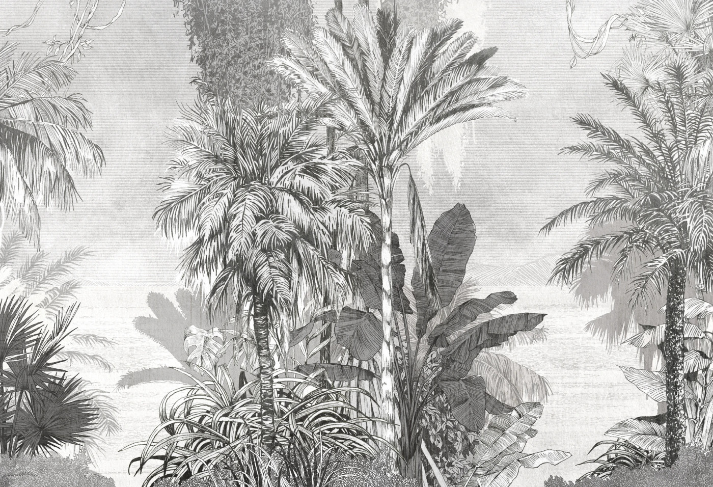 BORNEO - black - tropikalna tapeta z palmami i egzotycznym krajobrazem