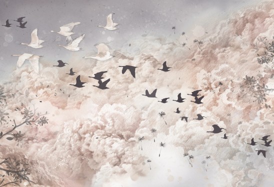 DREAM EVENING - black - tapeta do salonu w ptaki i chmury