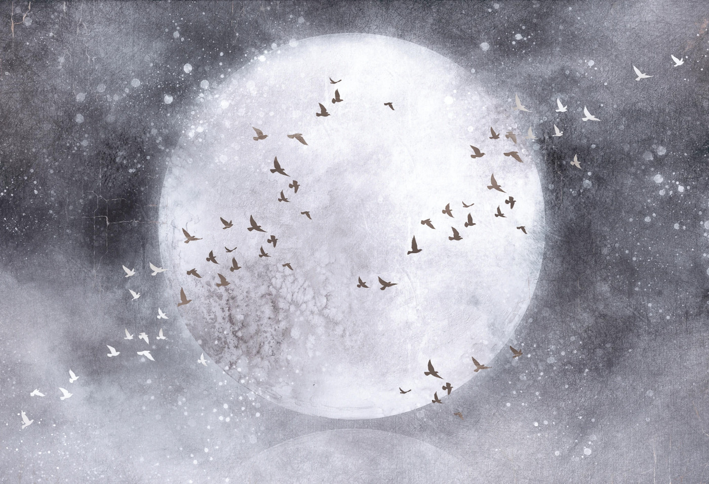MOONLIGHT FLY - cold grey - nowoczesna tapeta do salonu w chłodnej szarości