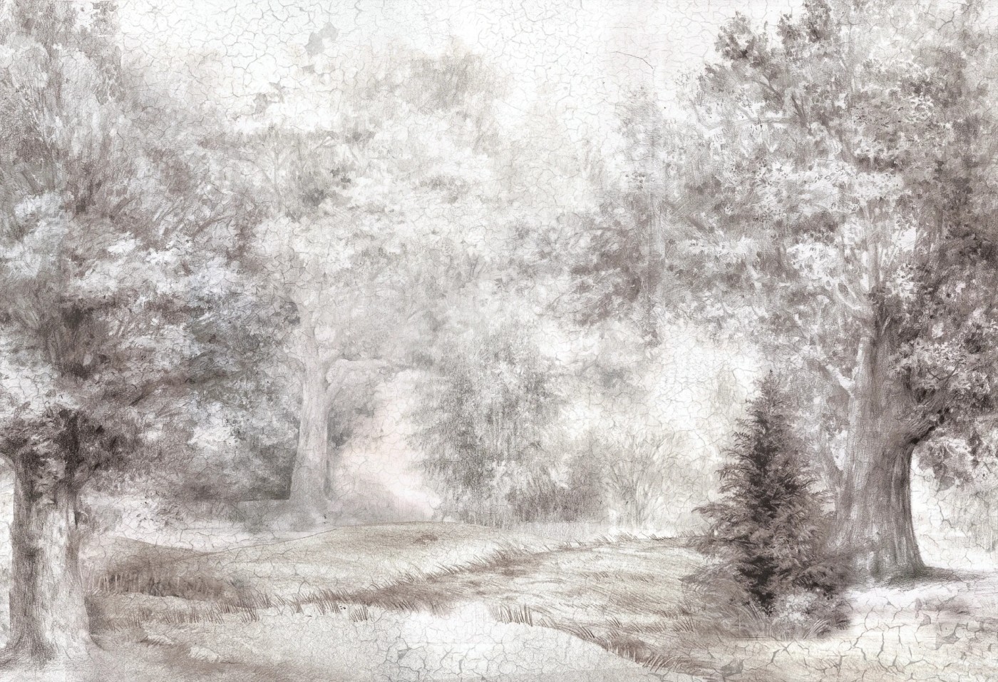 FRESCO - tapeta z motywem lasu do salonu lub sypialni