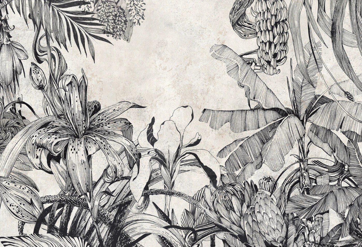 HAVANA - black&white - tapeta leśna do salonu