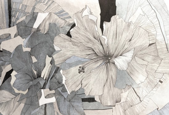 HIBISCUS - blue - tapeta w wielkie kwiaty do salonu lub sypialni