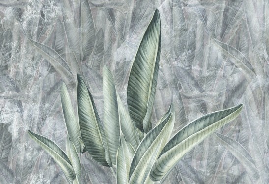 JUNGLE LEAVES - grey - florystyczna tapeta do salonu