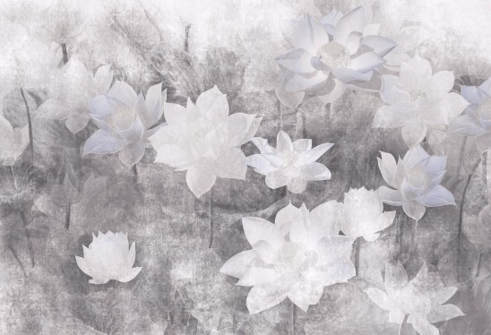 LOTUS BLOSSOM - bright - tapeta do salonu w duże kwiaty