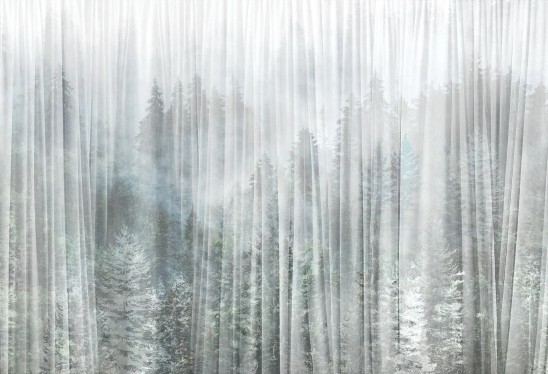 MISTY - pomysłowa tapeta do sypialni lub salonu z motywem leśnym