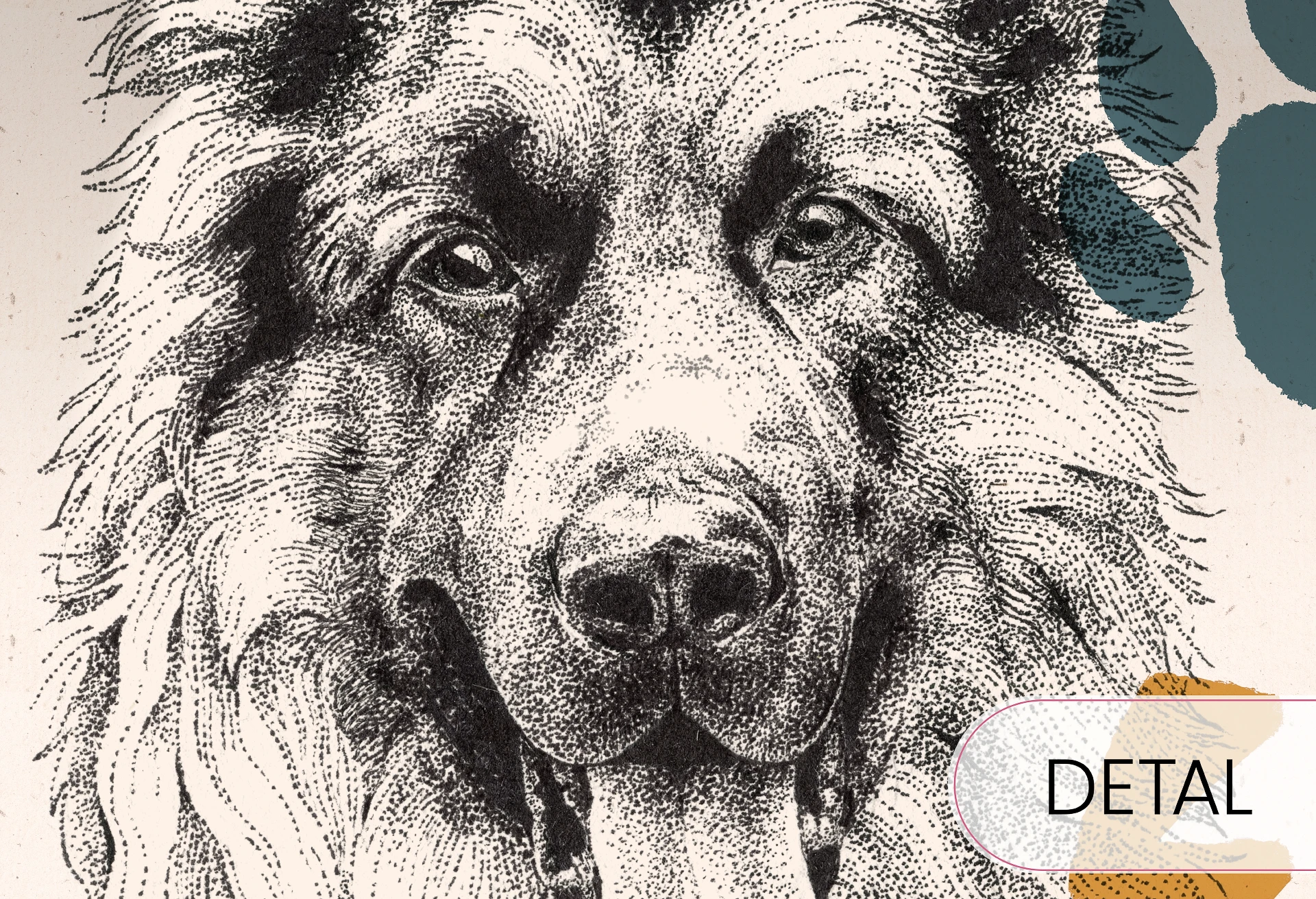 DOGGIES - mustard - tapeta do pokoju dla chłopca z rasami psów