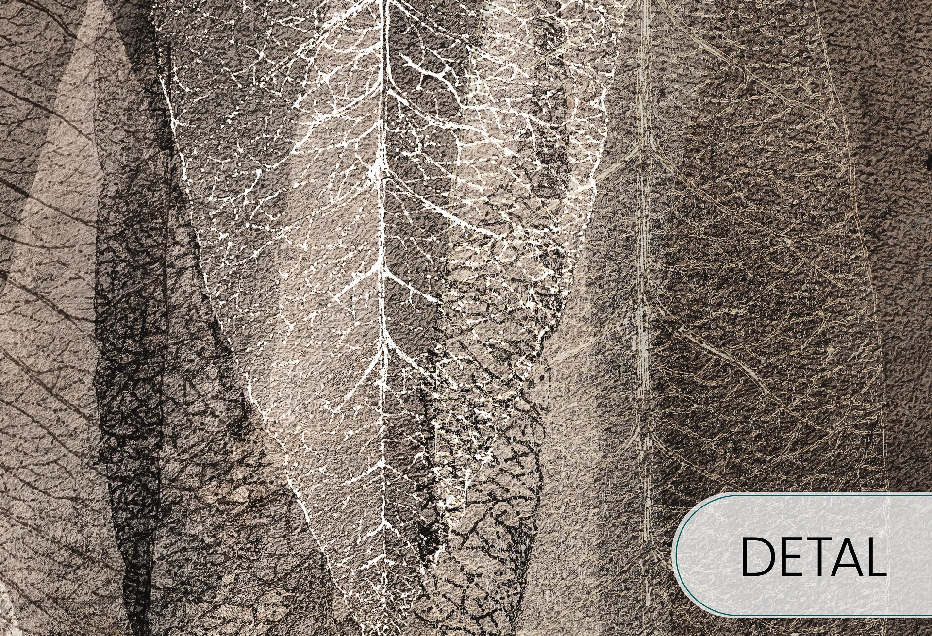 EUKALIPTUS - cocoa - minimalistyczna tapeta w liście