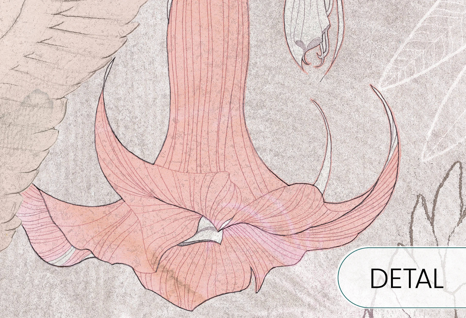 PANAMA - pink - tapeta w ptaki do pokoju młodzieżowego