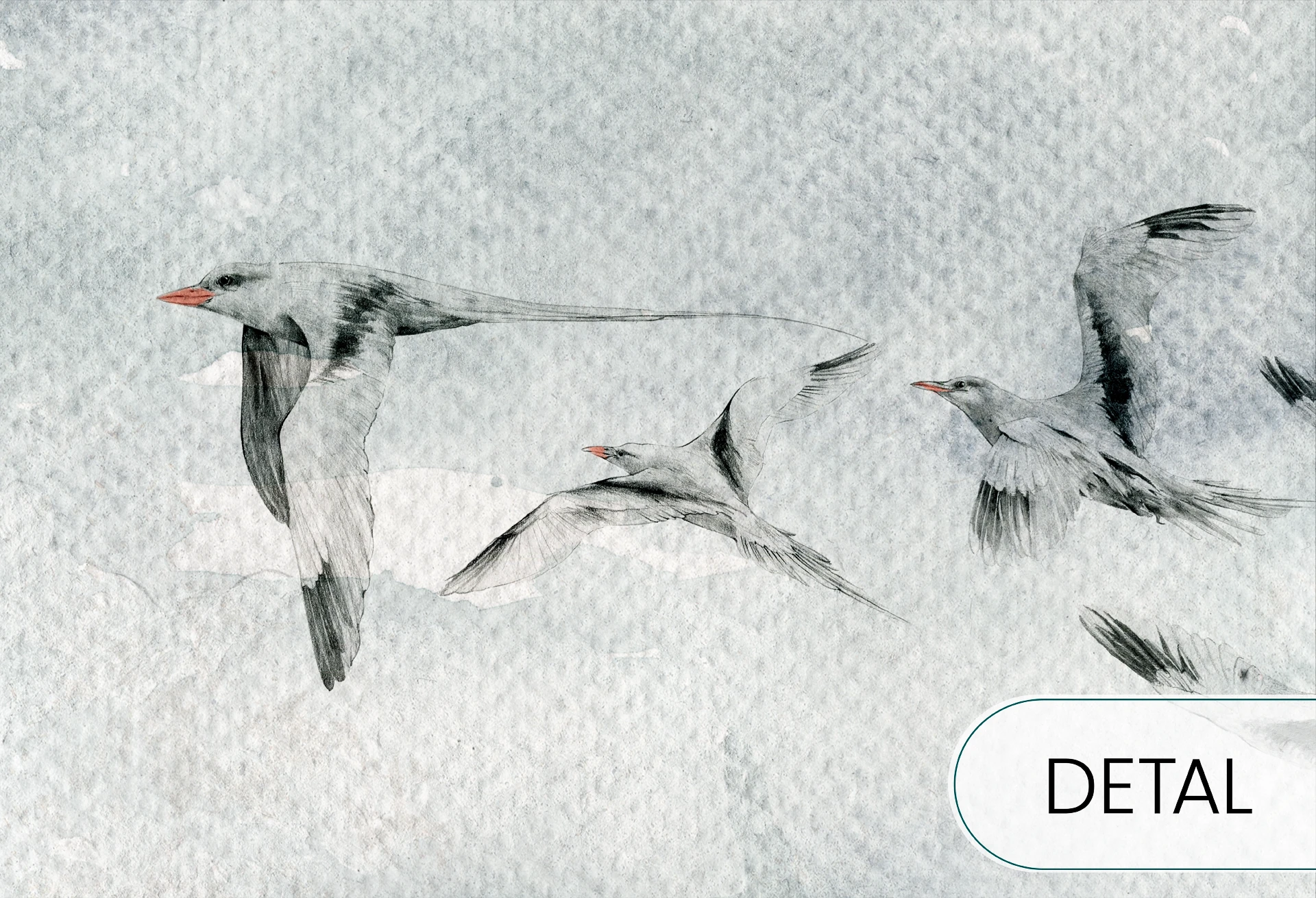 SEAGULLS - grey - tapeta do sypialni lub salonu w ptaki