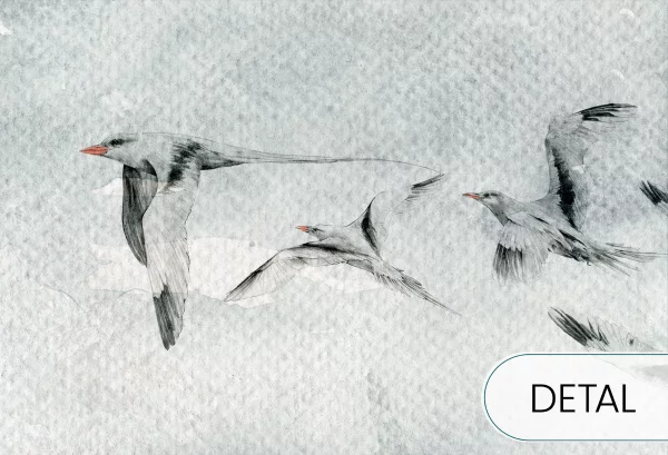 SEAGULLS - grey - tapeta do sypialni lub salonu w ptaki - detal