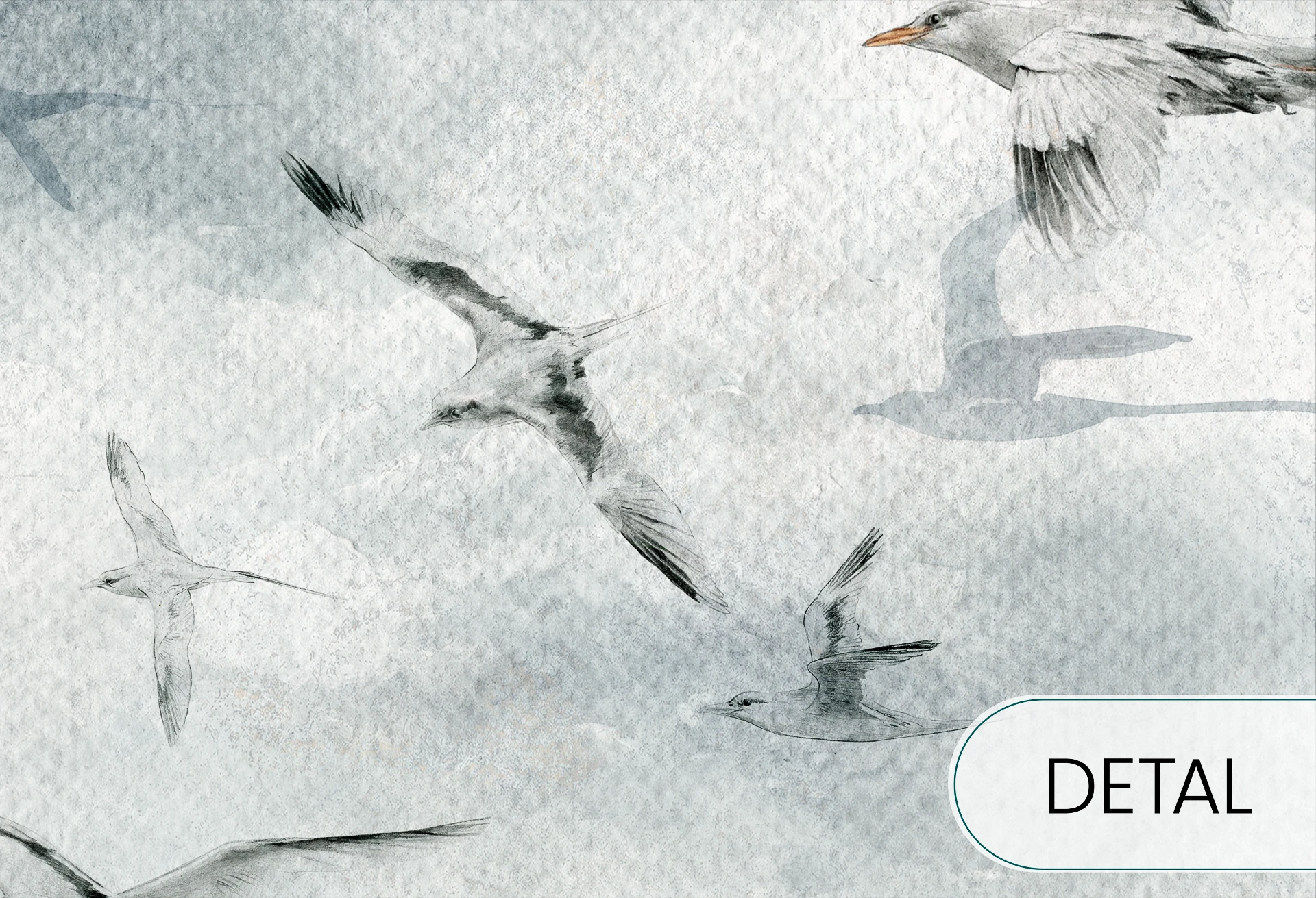 SEAGULLS - grey - tapeta do sypialni lub salonu w ptaki