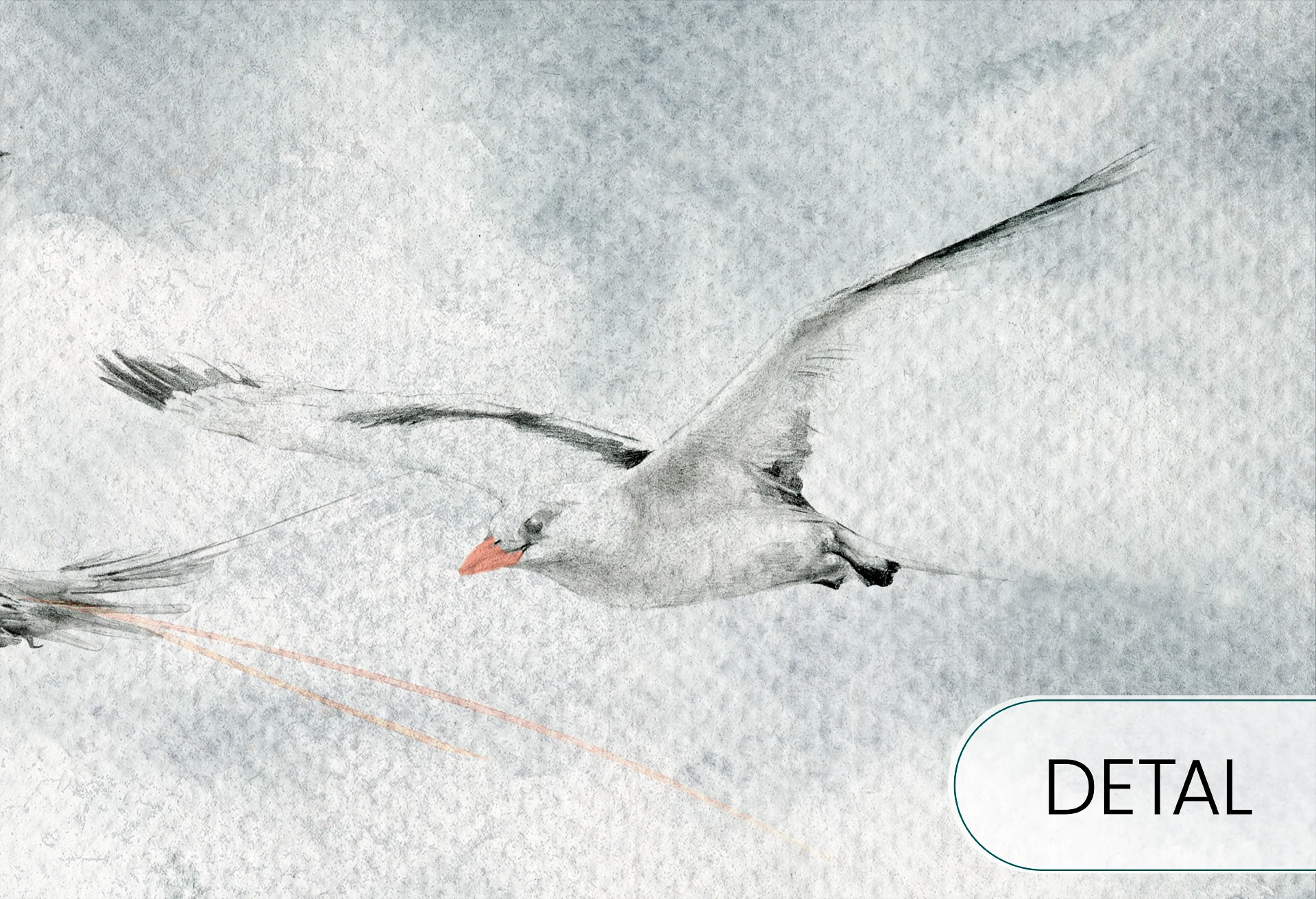 SEAGULLS - grey - tapeta do sypialni lub salonu w ptaki