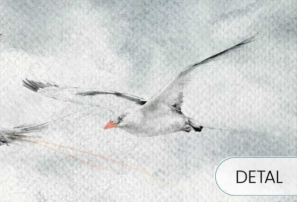 SEAGULLS - grey - tapeta do sypialni lub salonu w ptaki - detal