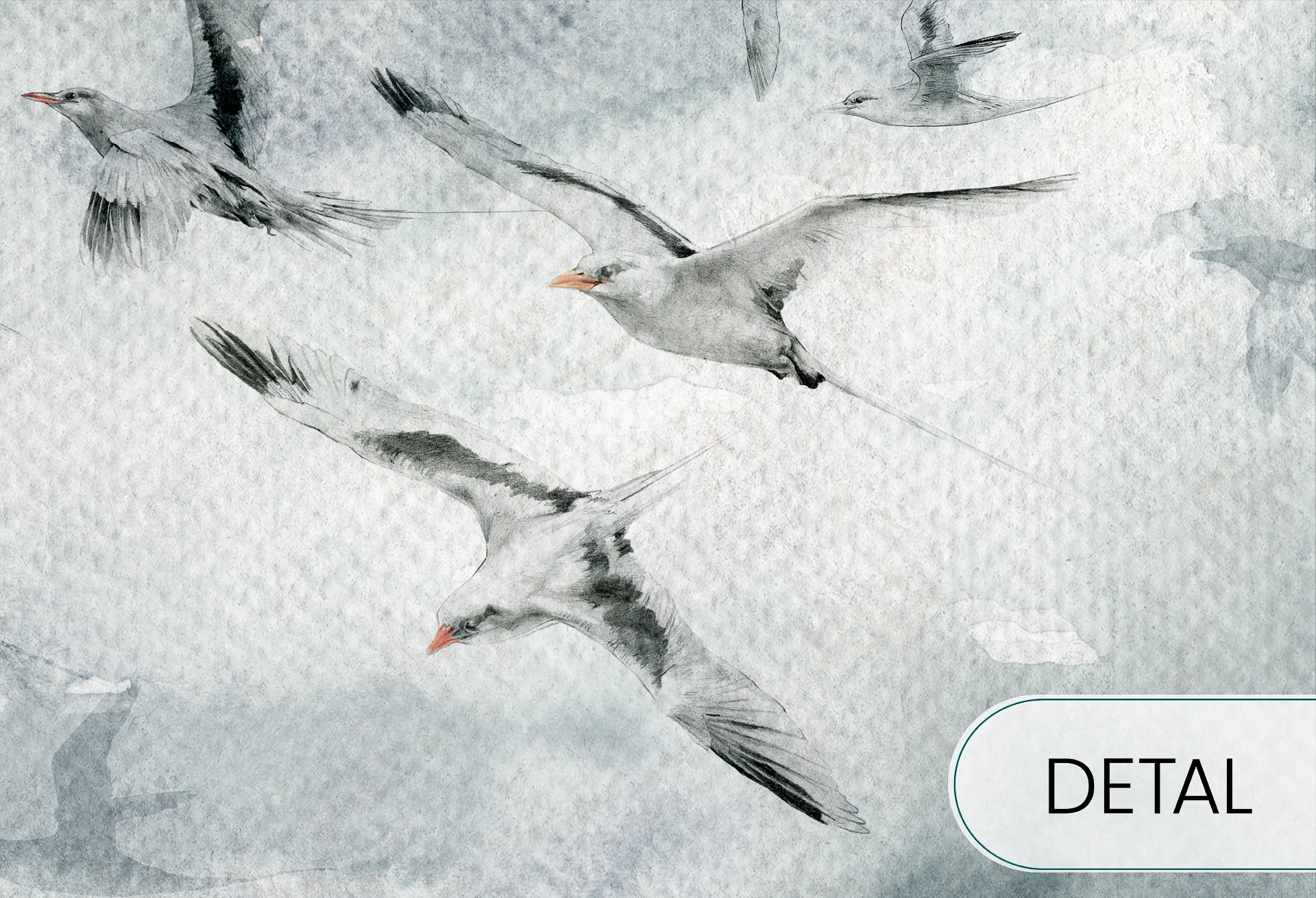 SEAGULLS - grey - tapeta do sypialni lub salonu w ptaki