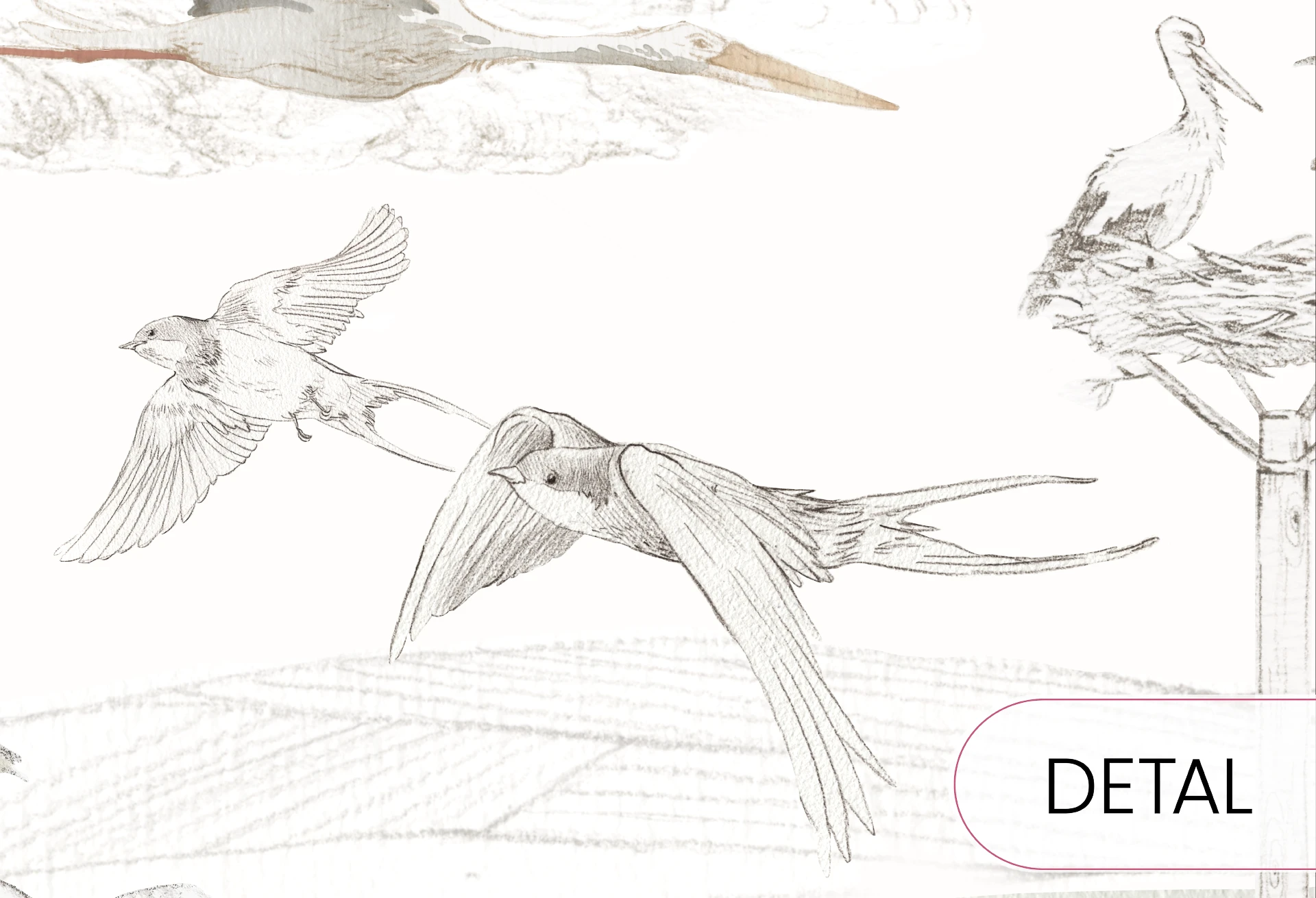 VINTAGE COUNTRY - boys - tapeta chłopięca w traktory