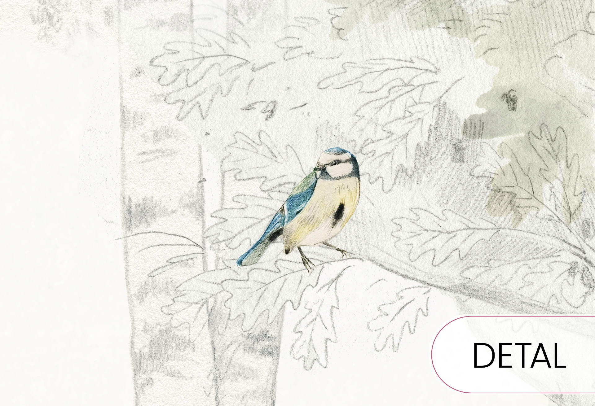 WOODLET FAMILY - green - leśna tapeta dla dzieci