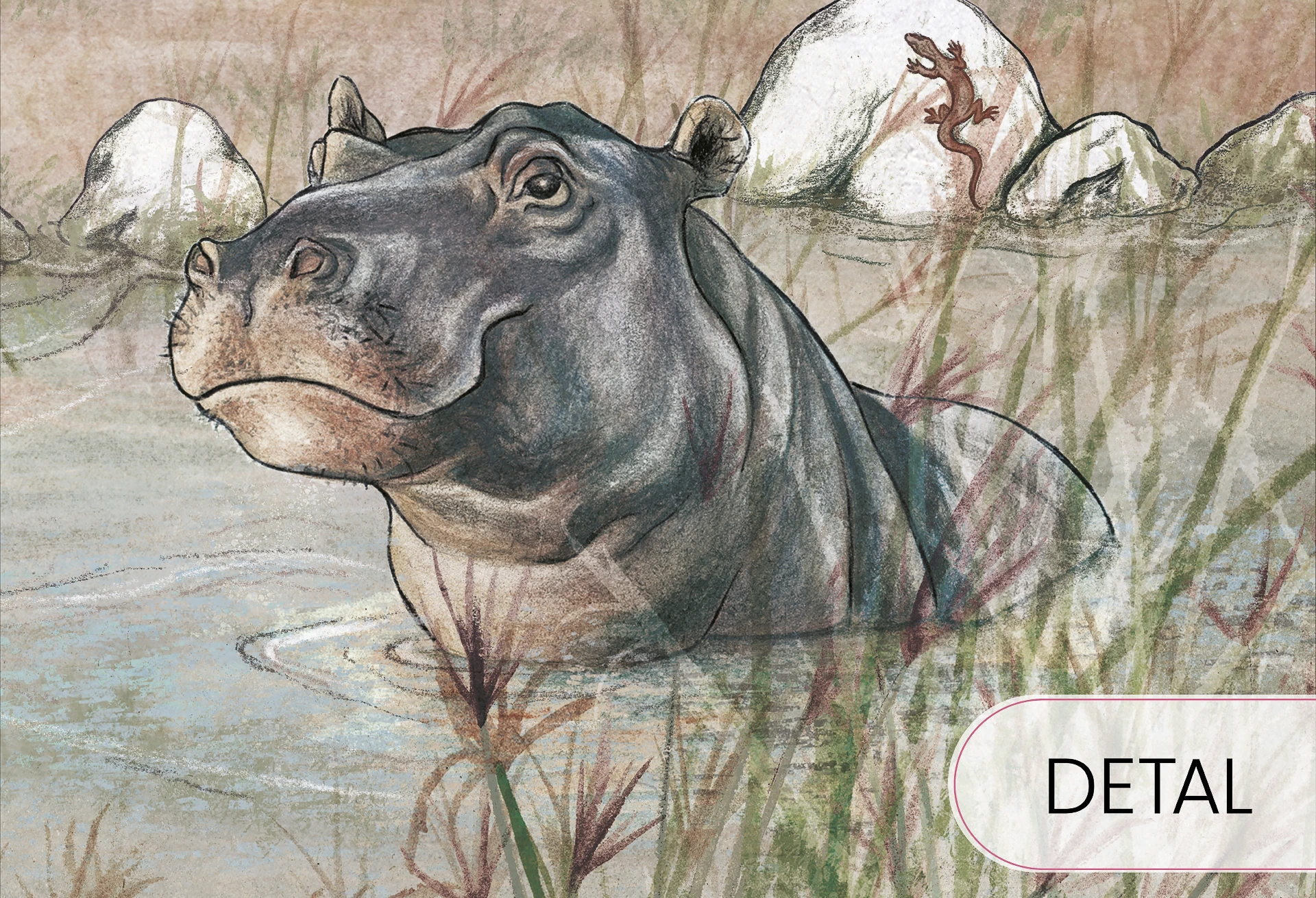 SAWANNA - vivid- Tapeta dziecięca z motywem sawanny