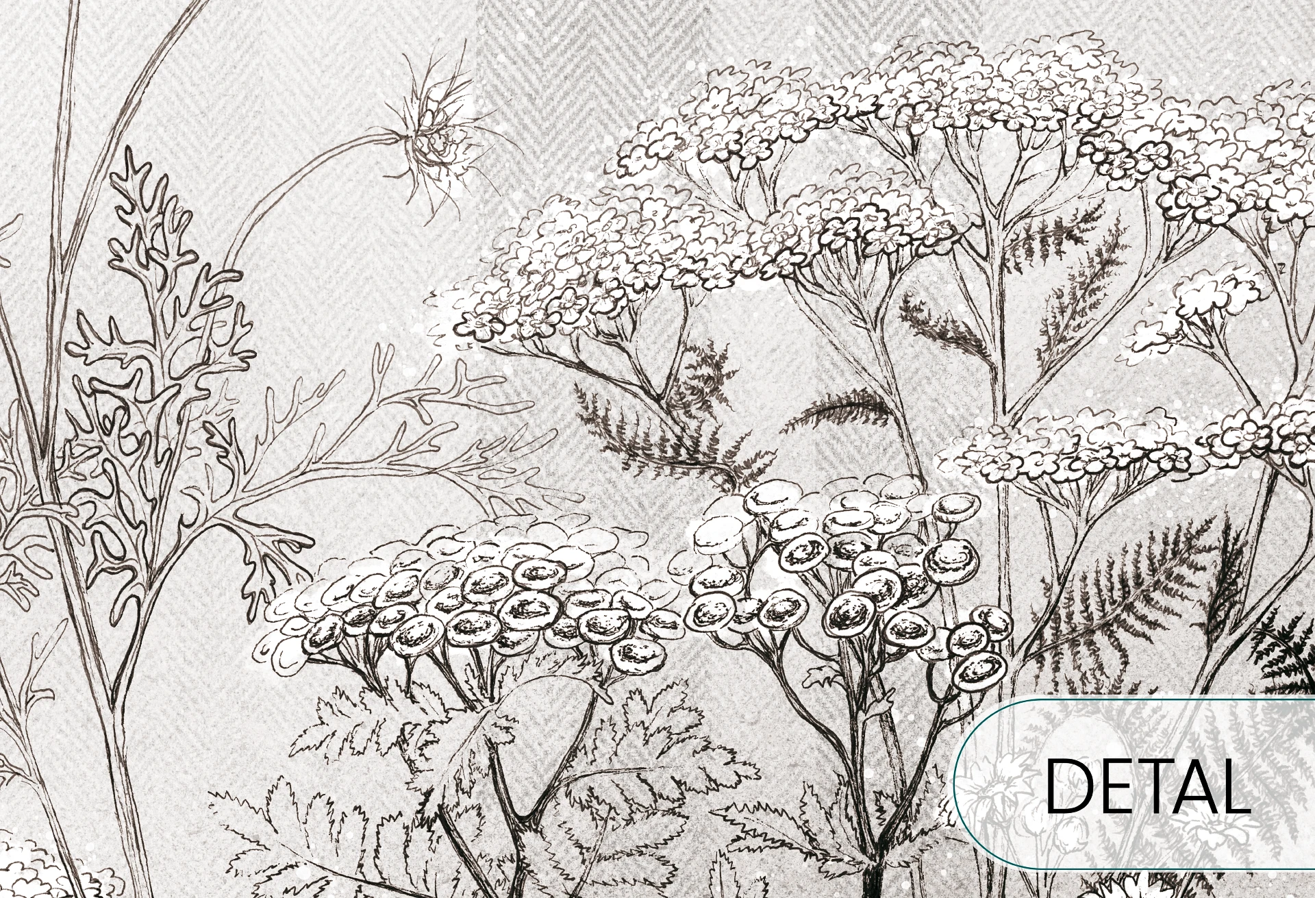 CLOVER - grey - tapeta do jadalni z łąką kwiatów