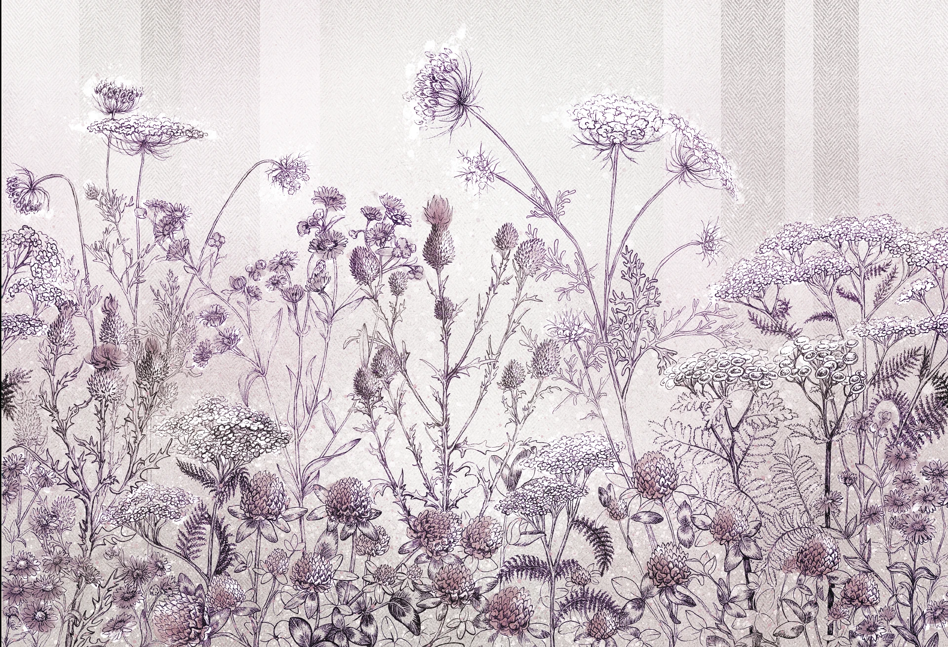 CLOVER - purple - wiosenna tapeta do salonu z wysokimi roślinami