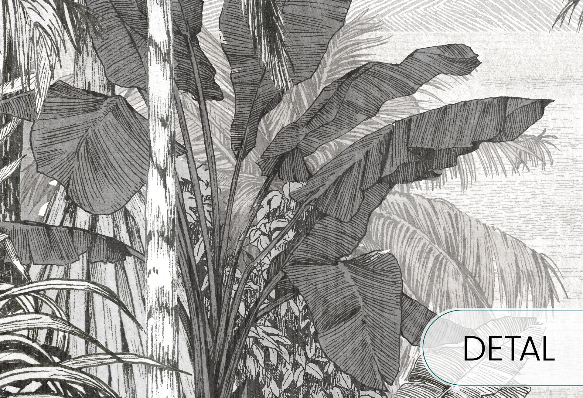 BORNEO - black - tropikalna tapeta z palmami i egzotycznym krajobrazem