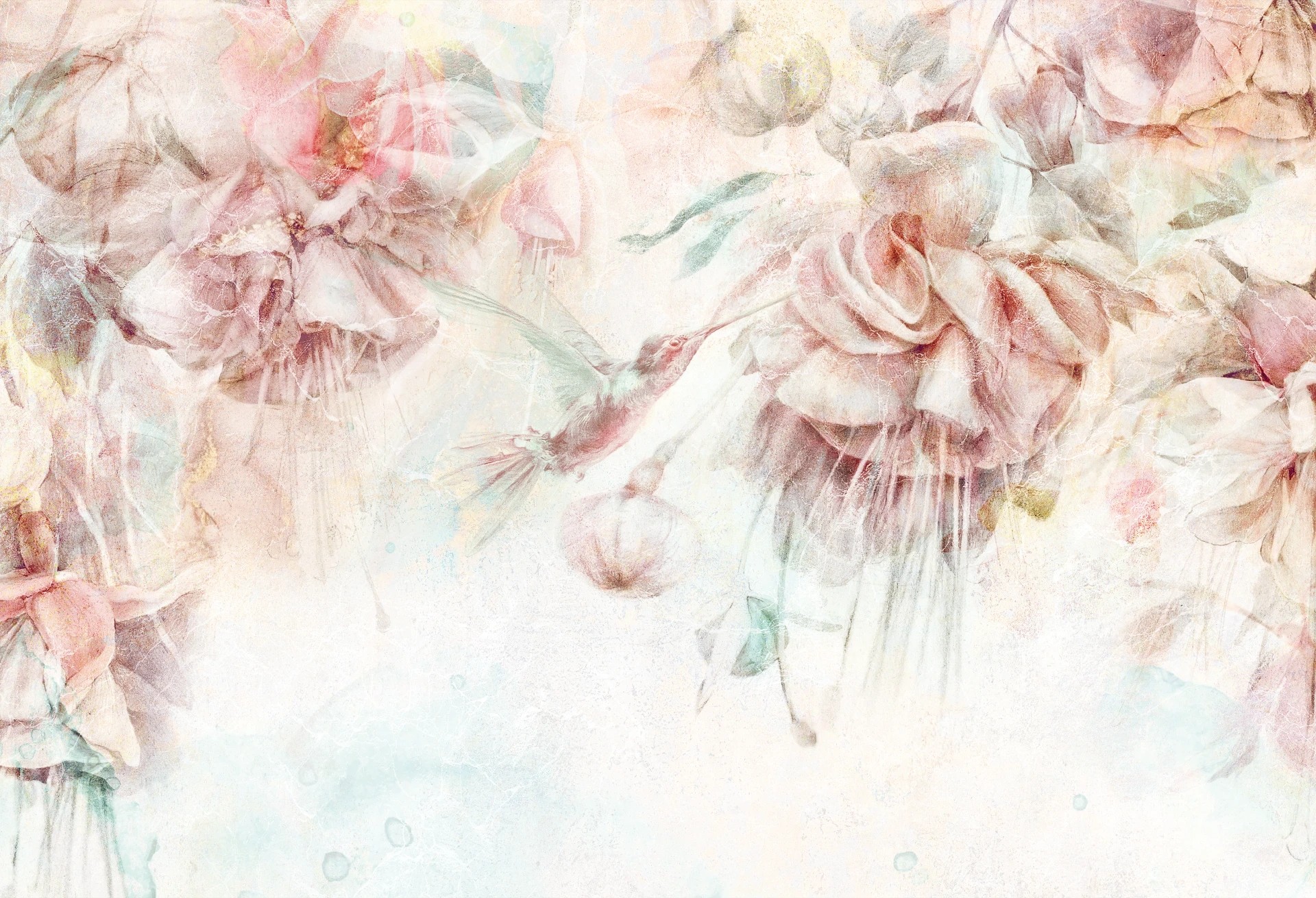 SWINGTIME FUCHSIA - colibri - tapeta dla dziewczynki z kolibrem