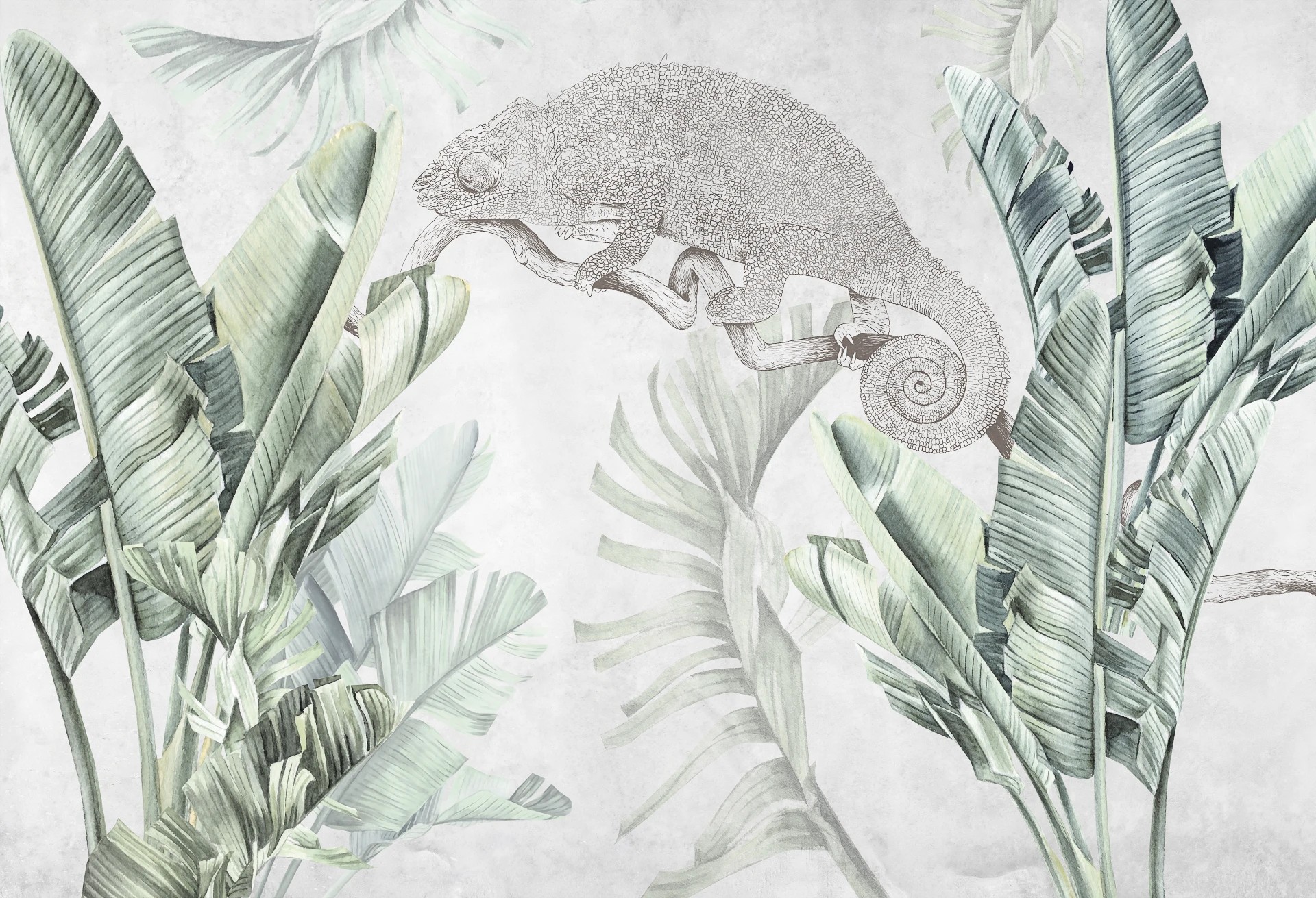 URBAN JUNGLE - kameleon - tapeta na ścianę z motywem natury