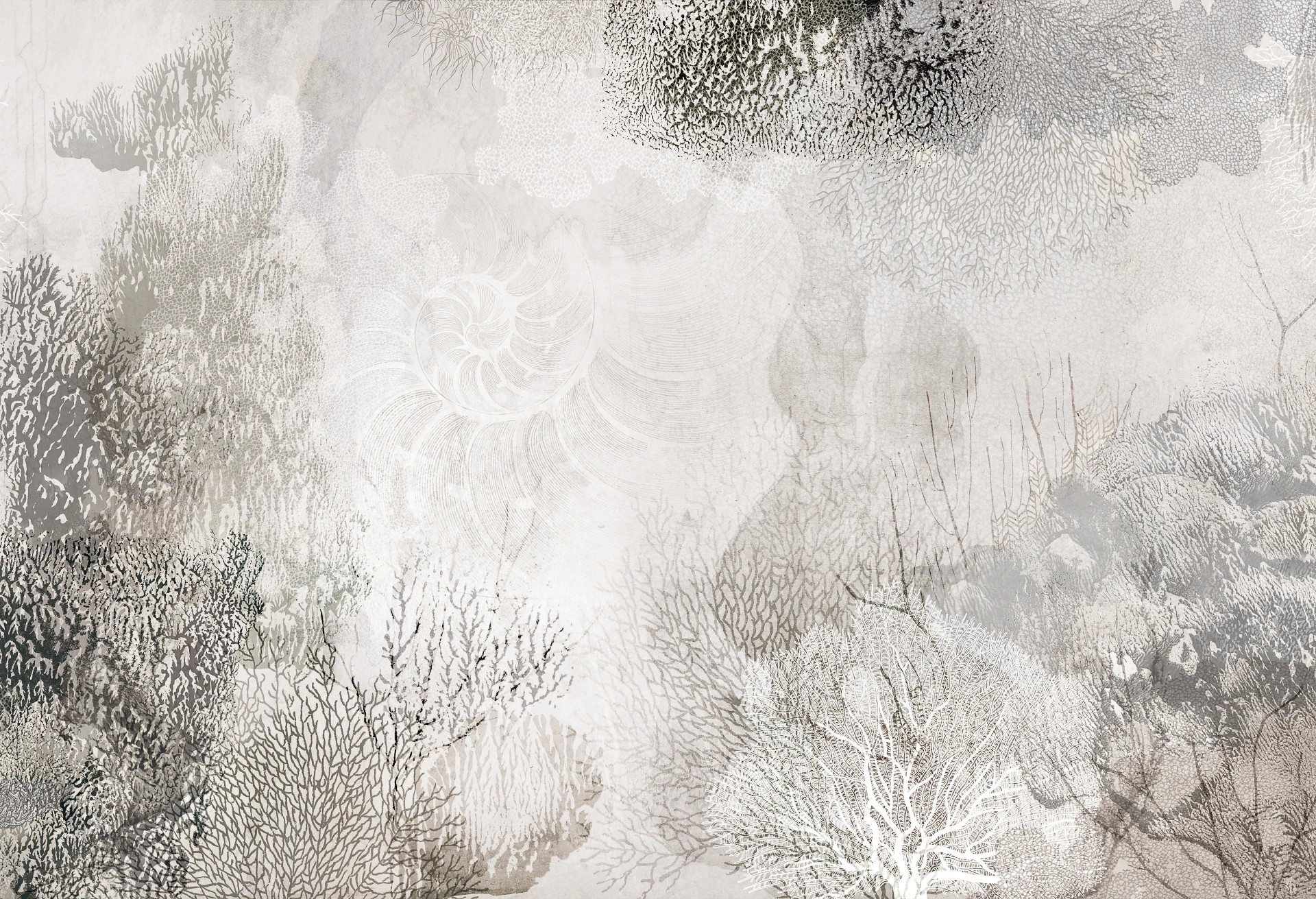 AQUARIA - soft - strukturalna tapeta do salonu i sypialni z rafą koralową i skamielinami