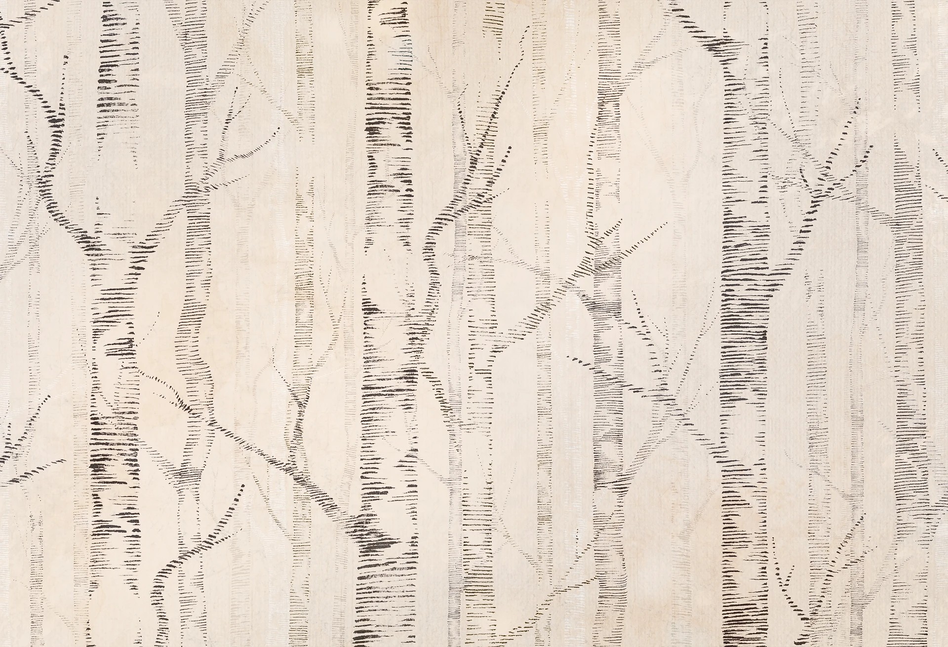 WOODS - beige - tapeta w brzozy w stylu skandynawskim